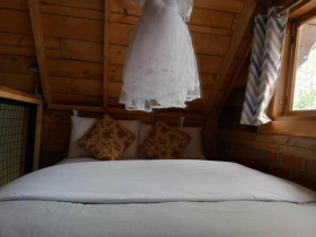 The Rustic Gorilla Cabin-Bwindi